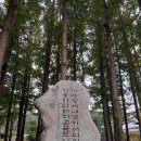 고진감래 ㅡ김장준비 이미지