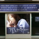 스크린미디어주 네이버블로그