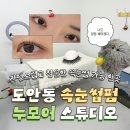 누가더예뻐뷰티 | 도안동 속눈썹펌 자연스럽고 청순한 컬링 원한다면 누모어스튜디오