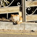 궁동체육관 이미지