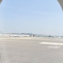 엔폴리우드 | 제주 현지인 맛집 찐 인증 엔폴리우드 후기