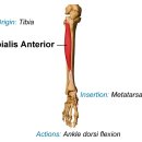원한의원 이미지