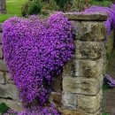 외광경로당 이미지