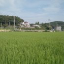 추장민박 | 시도리 추장민박