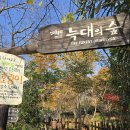 스마트폰 신나게 활용하기 | 🎠 전주 가족여행 완전정복! 전주동물원+드림랜드+한옥마을 1박2일 코스 추천