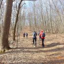 Norvin Green State Forest (03/02/16) 이미지