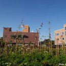 승리세탁소 이미지