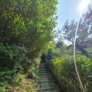 양지숲속산장 이미지