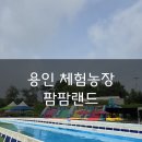 도신농장 | [용인,원삼면] 체험농장 용인아이와갈곳 취사가능수영장 가성비좋은 수영장 팜팜랜드