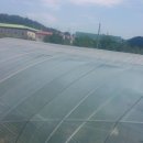 준혁농장 이미지