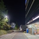 알파북면점