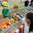 미담유치원 이미지