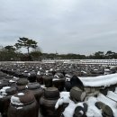 전북농촌융복합산업경영체협동조합 네이버블로그