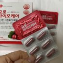 씨에이치100