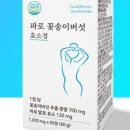 버섯마을.com 네이버블로그