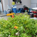 부흥회식당 이미지