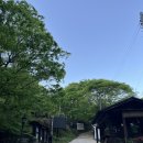 2박 3일 함양 여행 D+2 (1): 함양 지리산 백무동 코스 당일치기 등산, 지리산 쉼표 카페