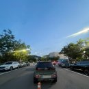 비바손칼국수 | [일상] 바이, 썸머