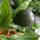 천우화원 이미지