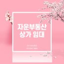 모리아공인중개사사무소 이미지