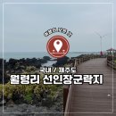 제주선인장마을 | 국내 제주, 서쪽 가볼 만한 곳 월령리 선인장군락지 솔직 후기_부모님도 신기해하셨음