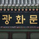 정글디자인 이미지