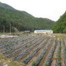 두산2리경로당 이미지