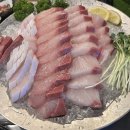 오징어선수촌 | 방이동 오징어선수촌 :: 대방어 석화 내돈내산 후기 (금요일 웨이팅 1시간)