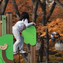 09파크