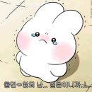 큰옷통통