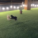 댕겨오시개 이미지