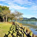 다산생태공원 이미지