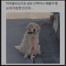 미라클모닝