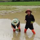 수성푸드 이미지