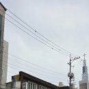 일등급국어교습소