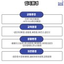 불로1호어린이공원 이미지