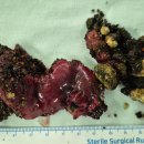 최지호내과의원 이미지