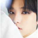 서호 이미지