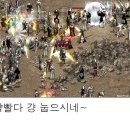 망꼬 이미지