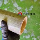최영태 | [한국 대나무] 대나무 파이프 , 물이 흐르는 미니 정원 만들기 용.