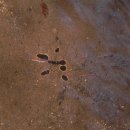 안산반월지역아동센터 이미지