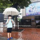 고려태풍태권도장 | 태권 날아올라 우리금융아트홀 B구역 2열 26, 27 좌석시야 뷰 영국잼버리대원 함께 관람후기/리뷰 할인정보