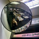 호텔드가자 | 8월, 드갈 수 있을 때 드가자