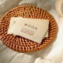 우아하개 이미지