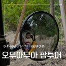 공룡투어 | 단양여행 아이랑 가볼만한 곳, 공룡과 ATV를 한 번에! 오무아무팜투어 후기