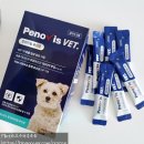 BI.A.BANG37 | 페노비스 강아지피부 유산균 후기