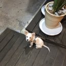 롯데리아마산 이미지