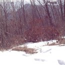 유현초교 이미지