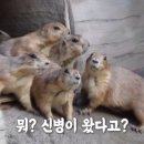 기봉이 농장 이미지