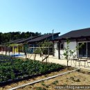 베베농장 이미지